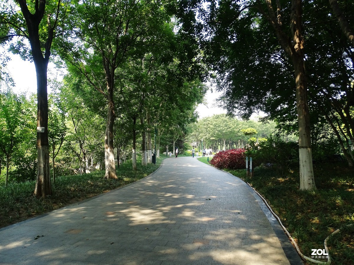 走走拍拍（2019.09.08-3）