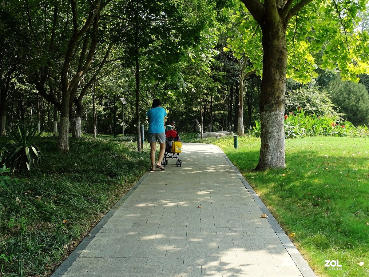 走走拍拍（2019.09.08-3）