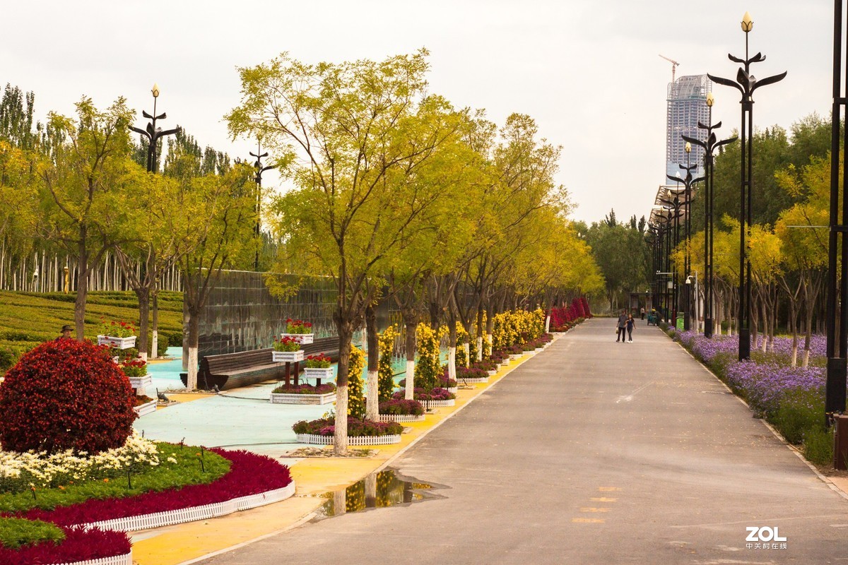 花博园秋日小景