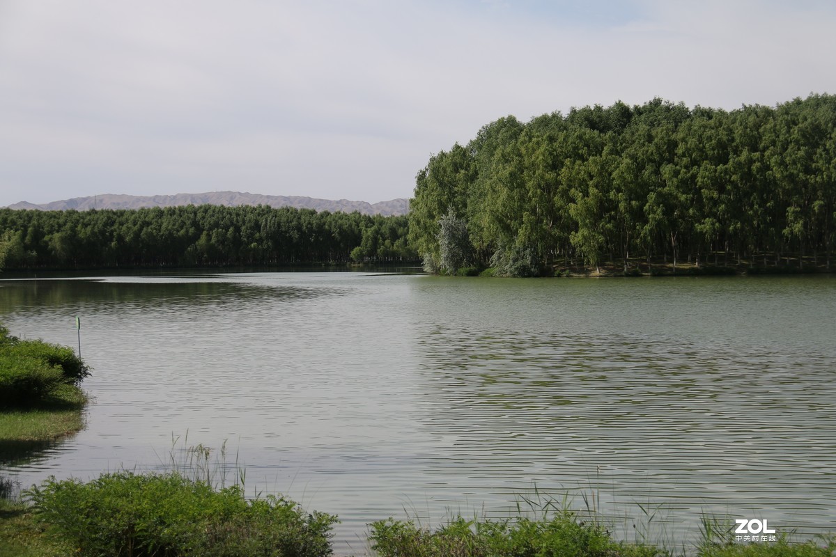 逛香山公园随拍