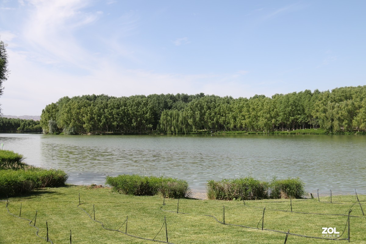 逛香山公园随拍