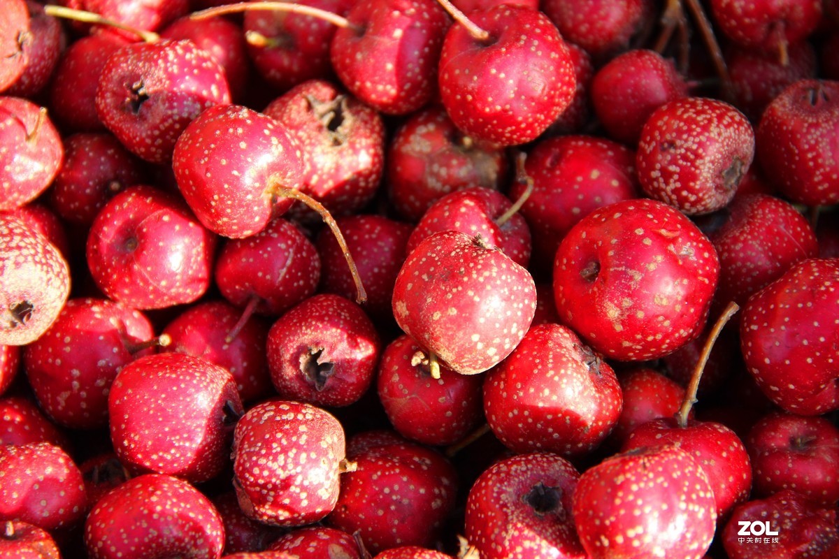 #晒年货#北京西山特产