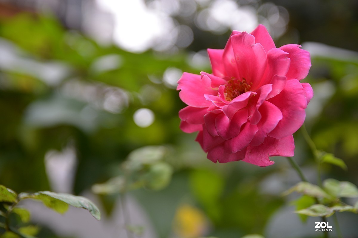 #版主坐堂#小五星空(中国)2020年一月精品荟萃