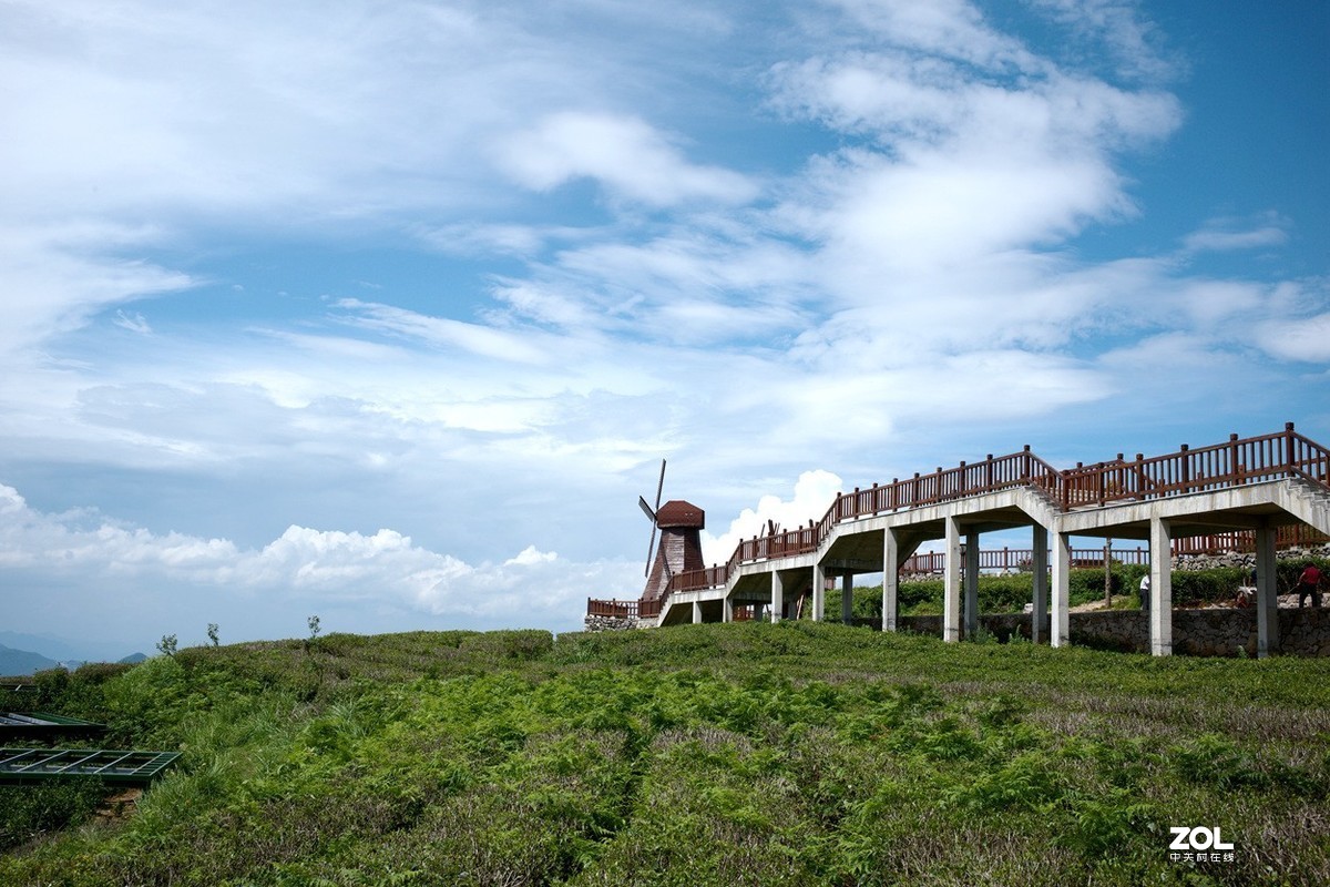家乡的风景
