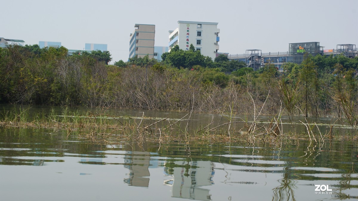 立新湖公园之《湖光粼粼》