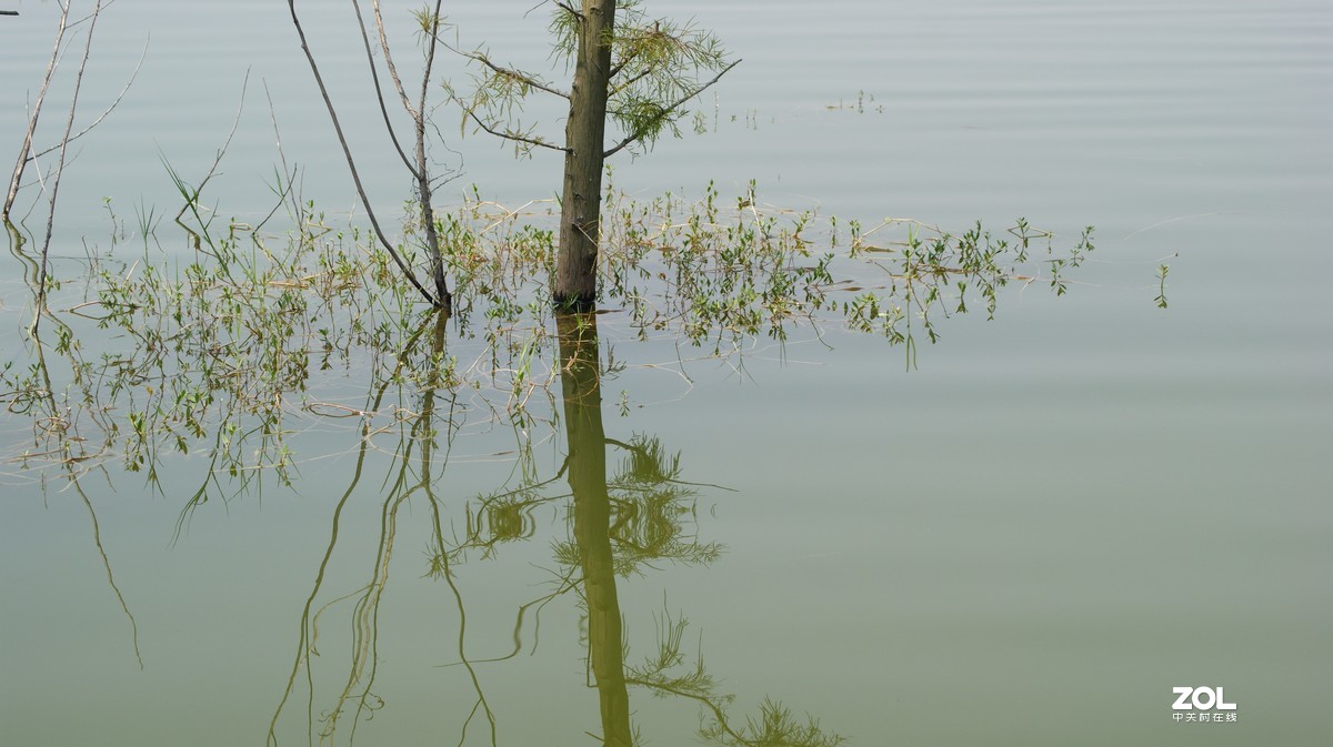 立新湖公园之《湖光粼粼》