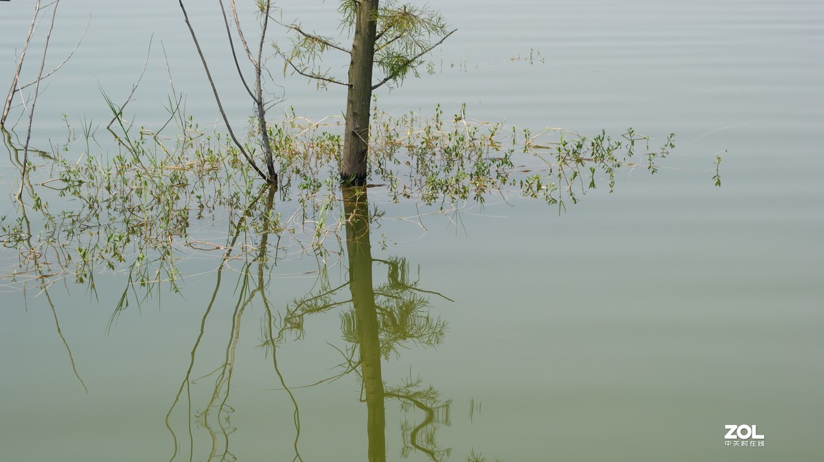 立新湖公园之《湖光粼粼》