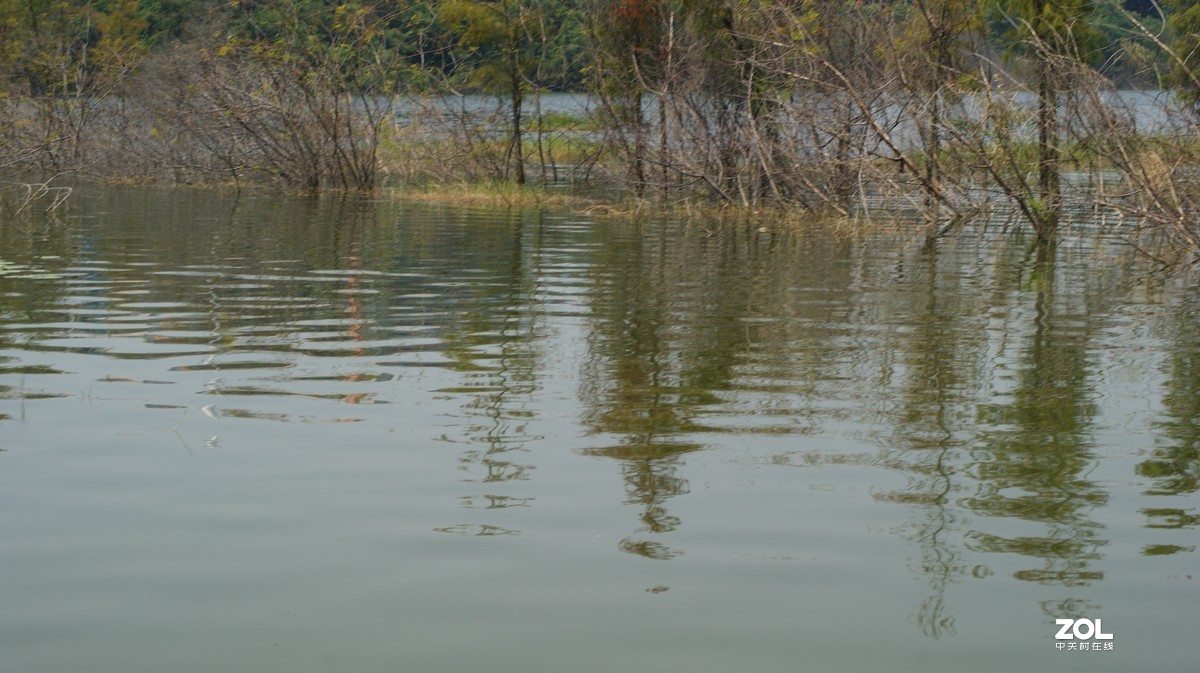 立新湖公园之《湖光粼粼》
