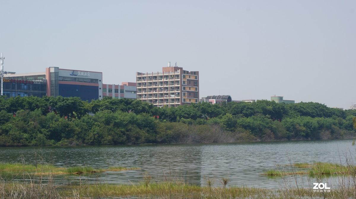 立新湖公园之《湖光粼粼》