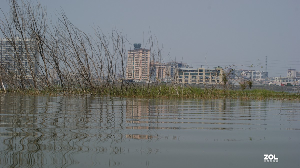 立新湖公园之《湖光粼粼》