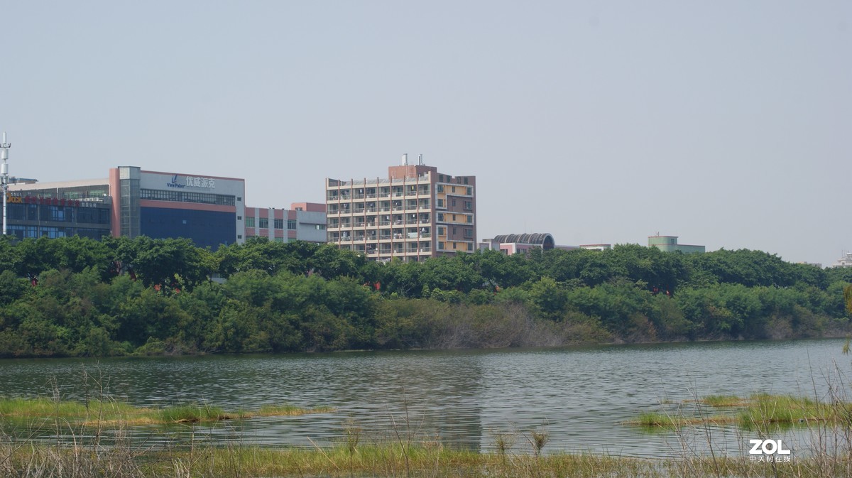 立新湖公园之《湖光粼粼》