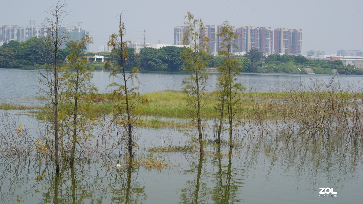 立新湖公园之《湖光粼粼》