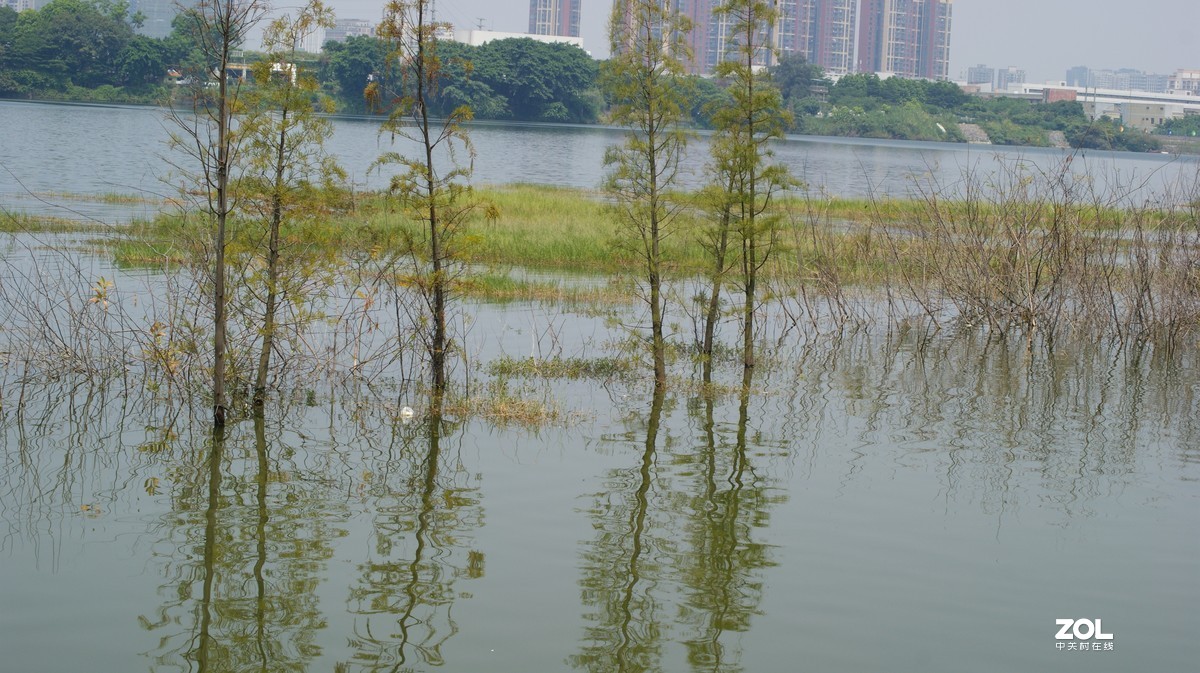 立新湖公园之《湖光粼粼》