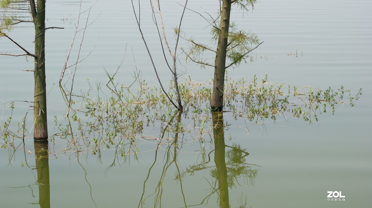 立新湖公园之《湖光粼粼》
