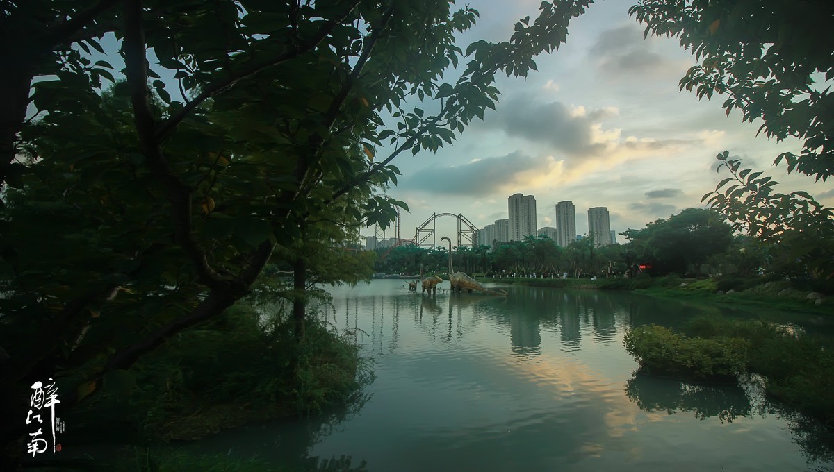 #大摄影佳#  人人尽说江南好，游人只合江南老——醉江南