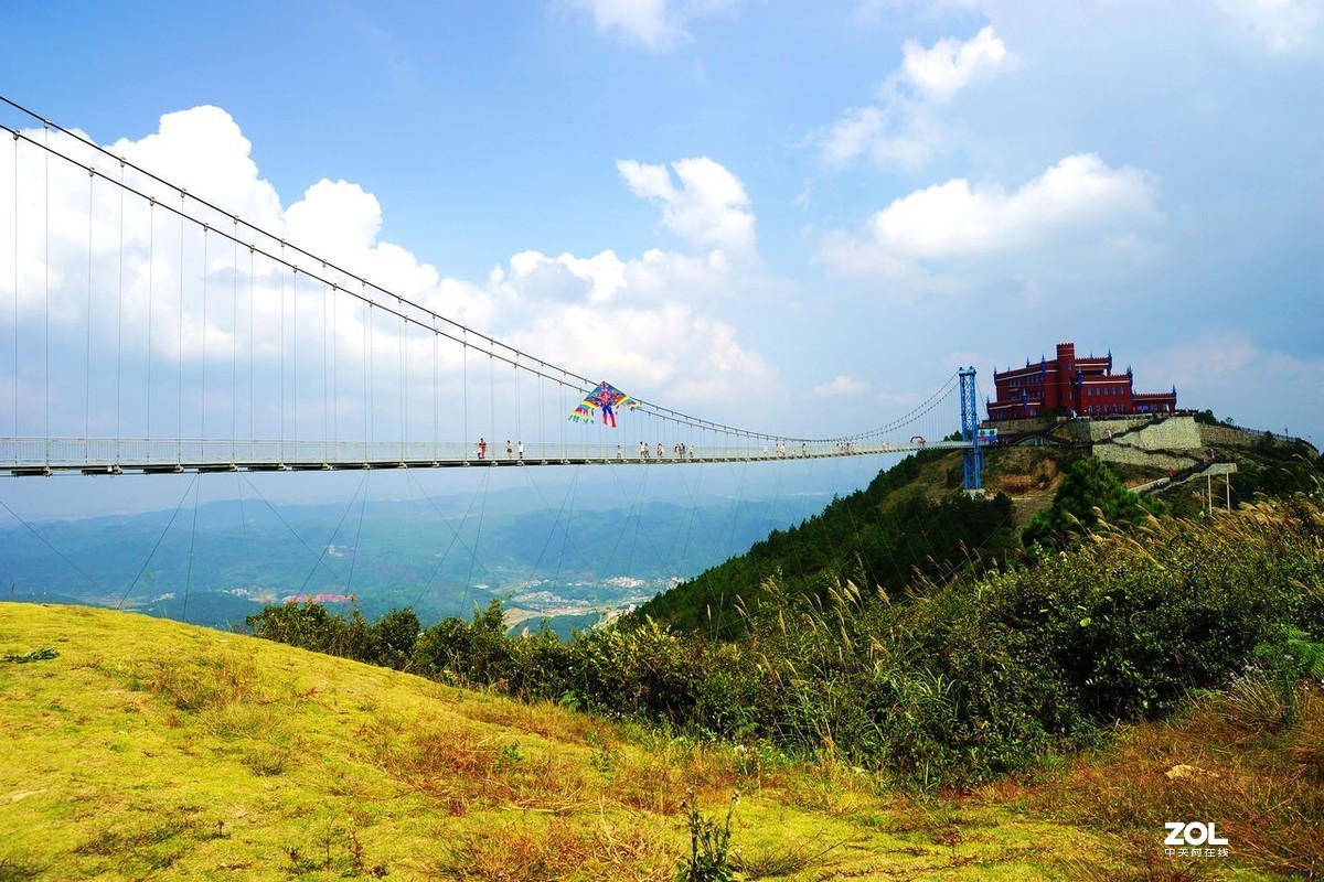 家乡的风景——油画大草原