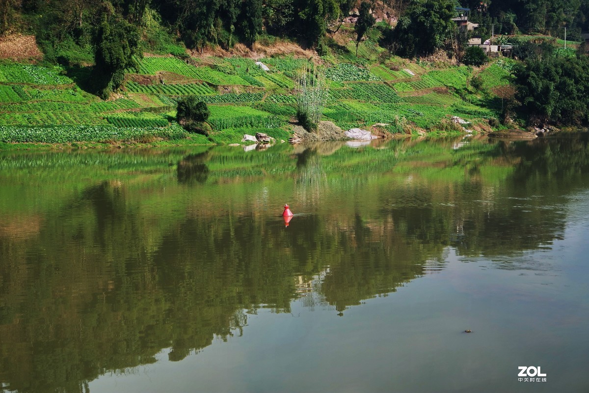 山清水秀春光里