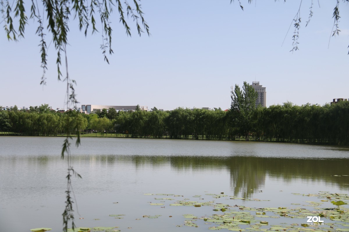 逛香山公园随拍