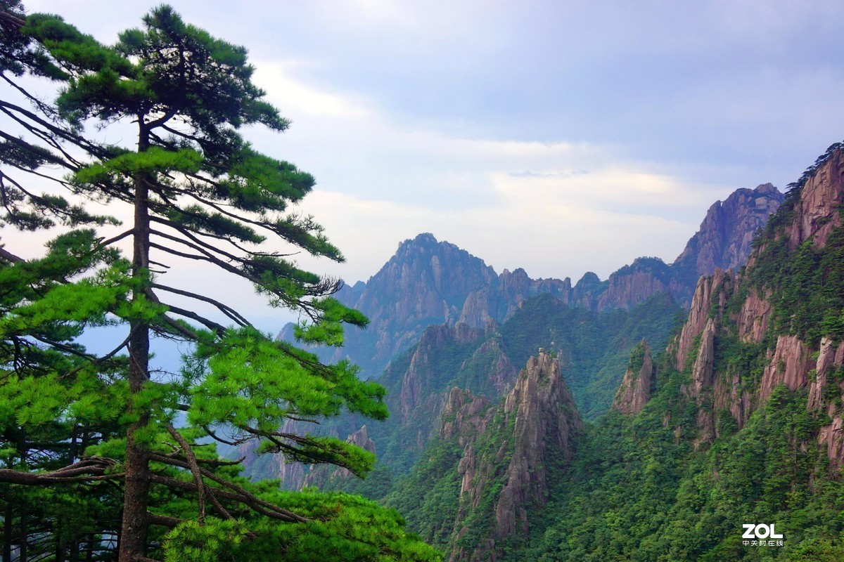 八月登黄山