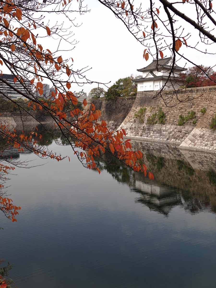 日本关西赏枫游15--大阪街边公园的红叶