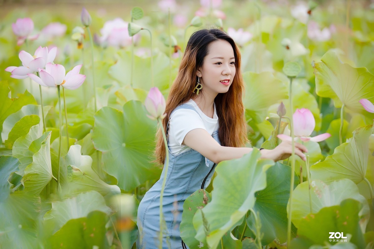 为荷而来  相约藕花深处