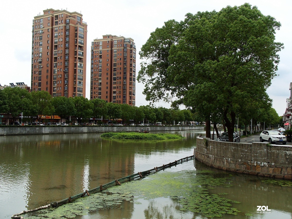 带S1050闲拍几张街景