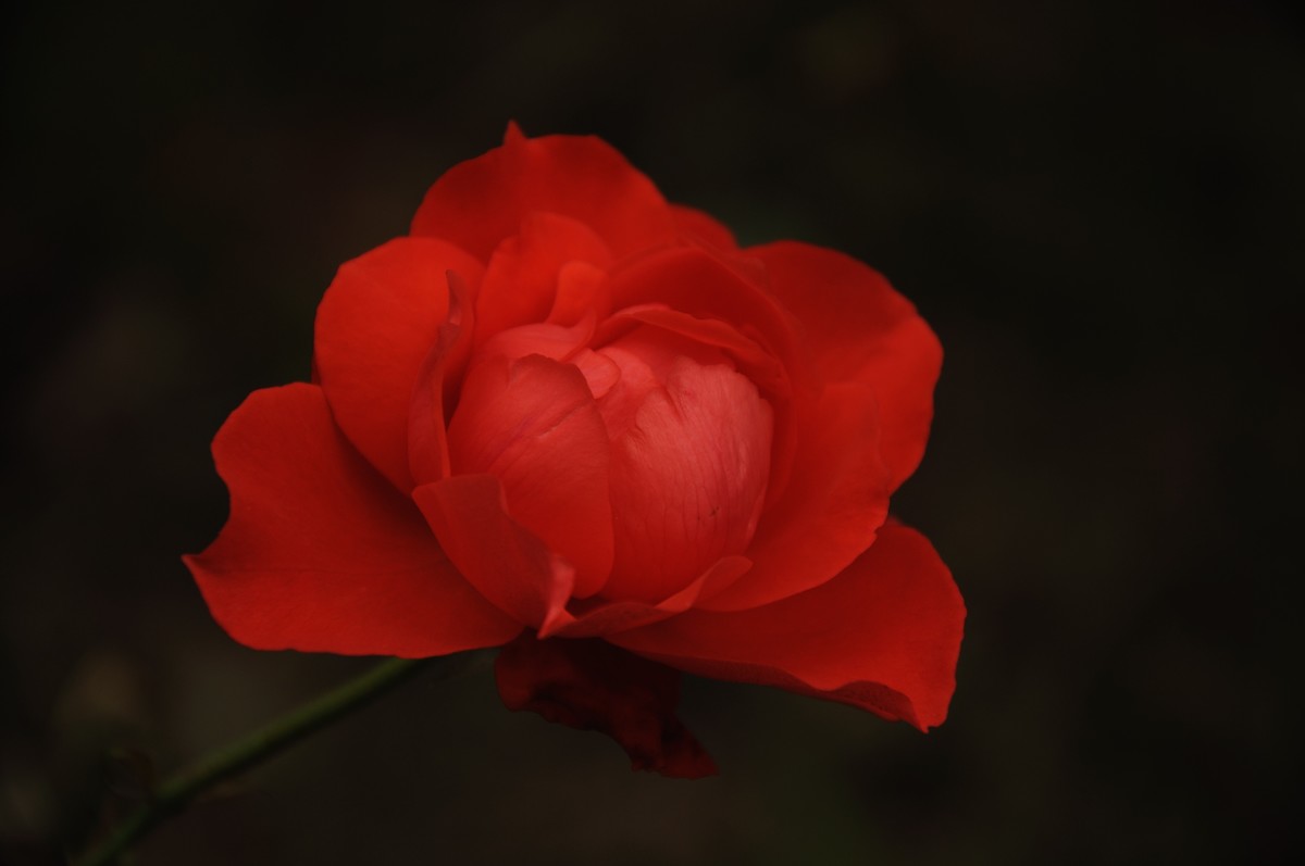 第一次发帖，欢迎大家批评指教