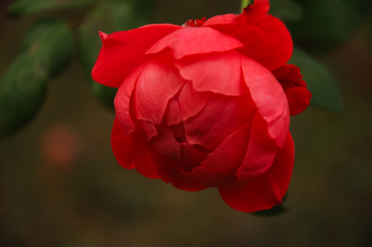 第一次发帖，欢迎大家批评指教