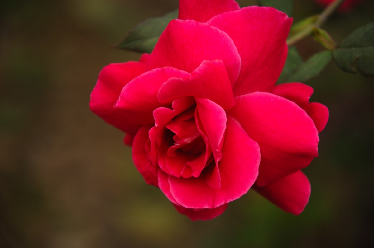 第一次发帖，欢迎大家批评指教