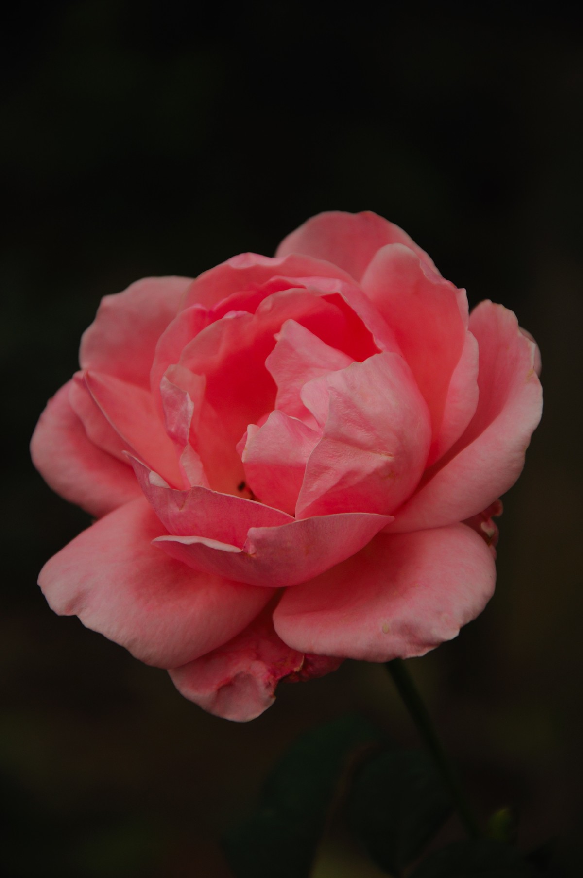 第一次发帖，欢迎大家批评指教