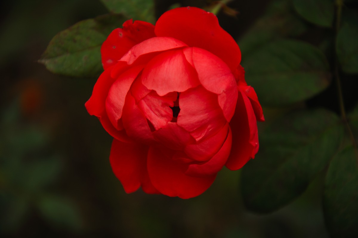 第一次发帖，欢迎大家批评指教