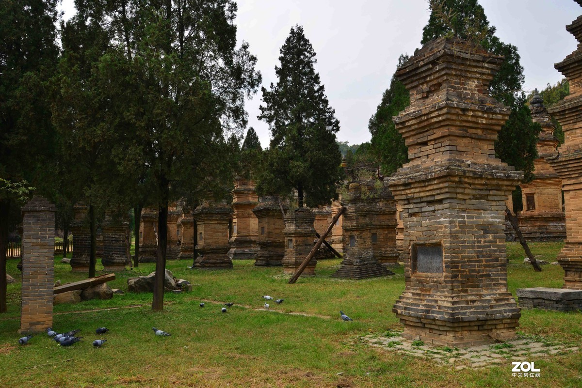 河南嵩山少林寺塔林