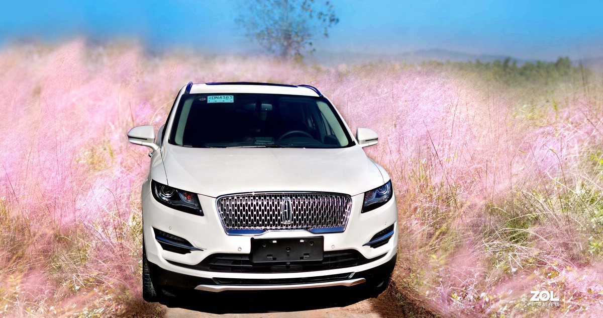 秋赏 . 粉黛乱子草