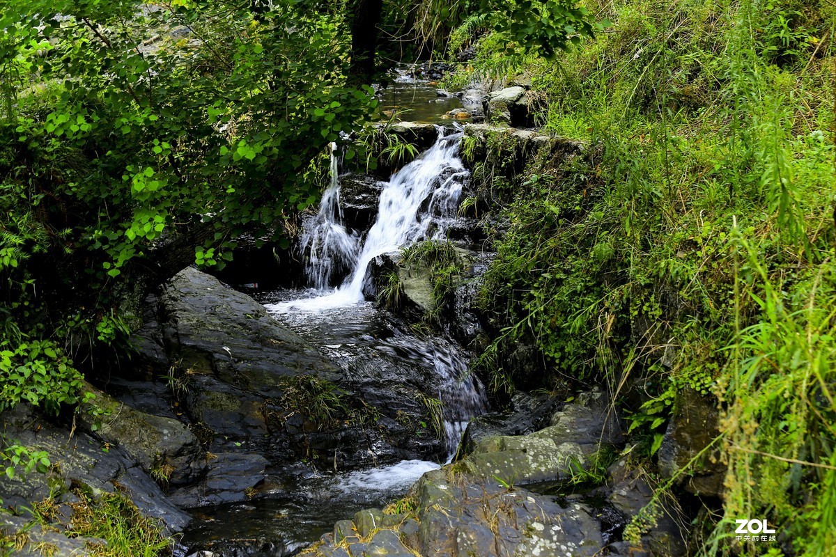 70-200f4is到手试试