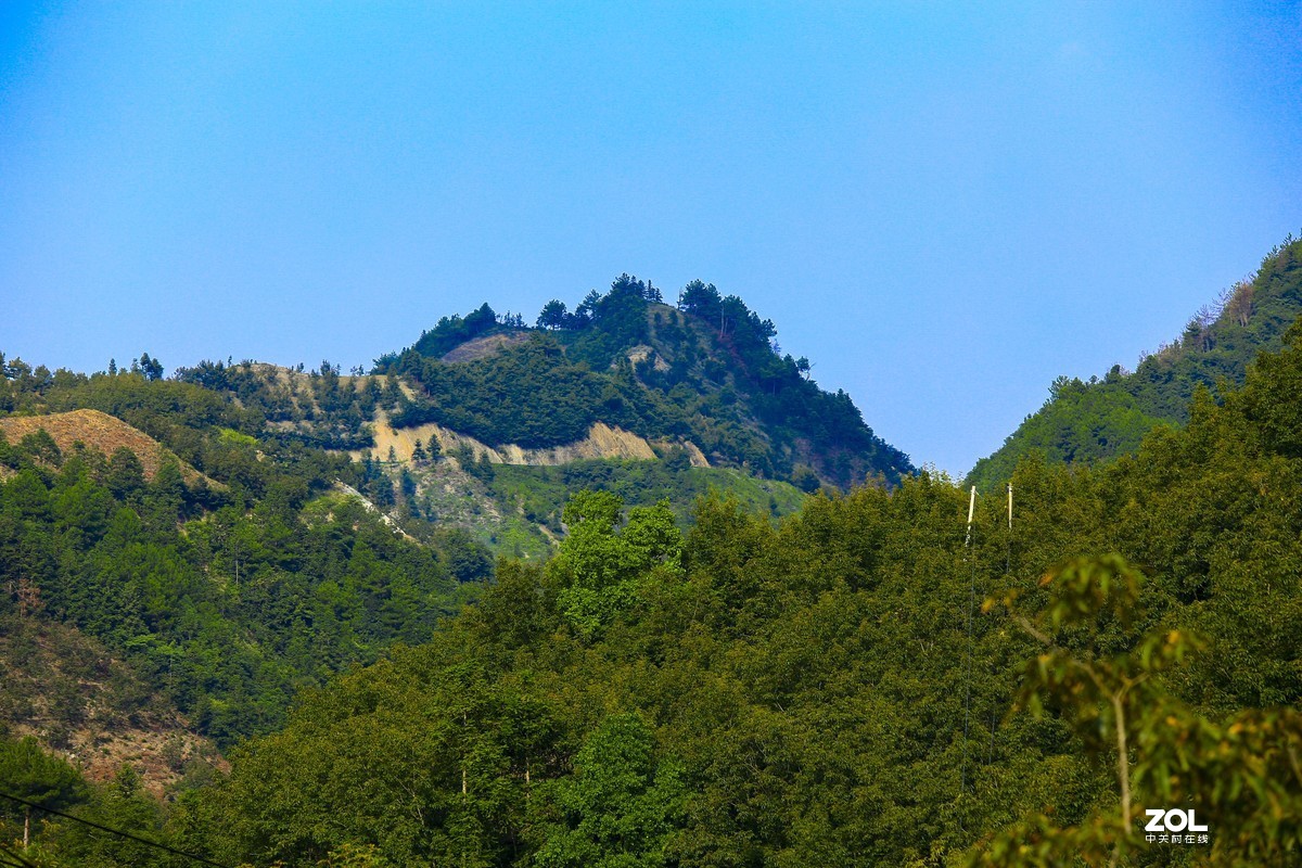 70-200f4is到手试试