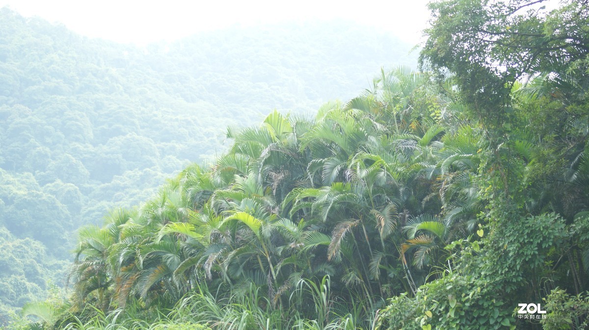 深圳羊台山公园之《龙溪流水》