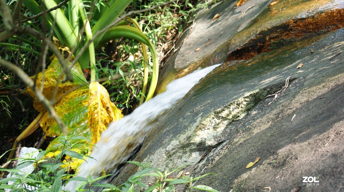深圳羊台山公园之《龙溪流水》