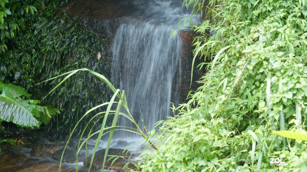 深圳羊台山公园之《龙溪流水》