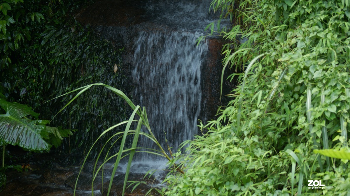 深圳羊台山公园之《龙溪流水》