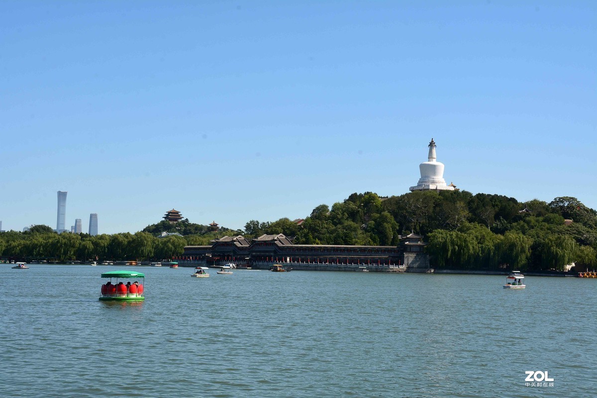 传言已有菊花展，踏遍北海一场空