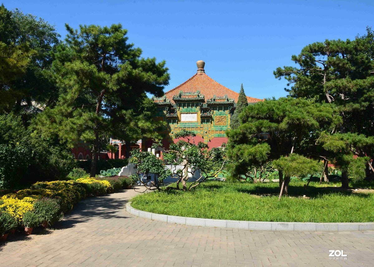 传言已有菊花展，踏遍北海一场空