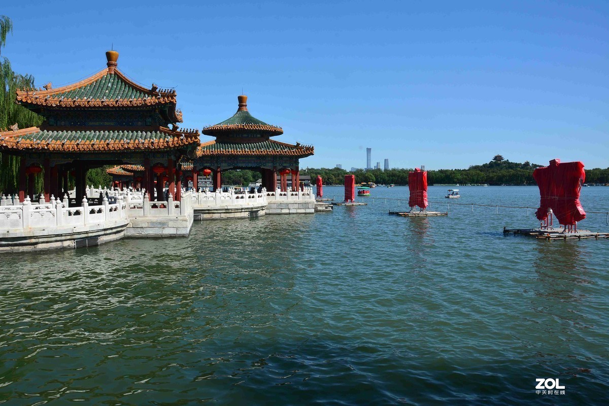 传言已有菊花展，踏遍北海一场空