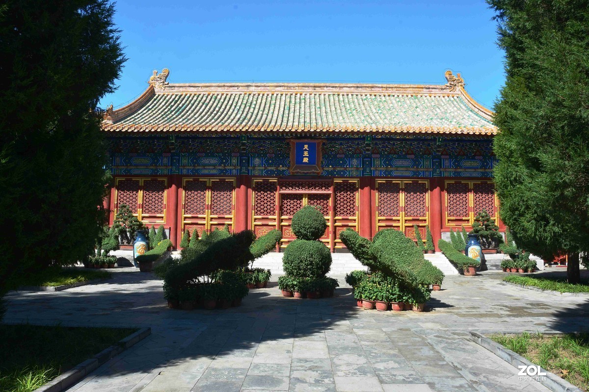 传言已有菊花展，踏遍北海一场空