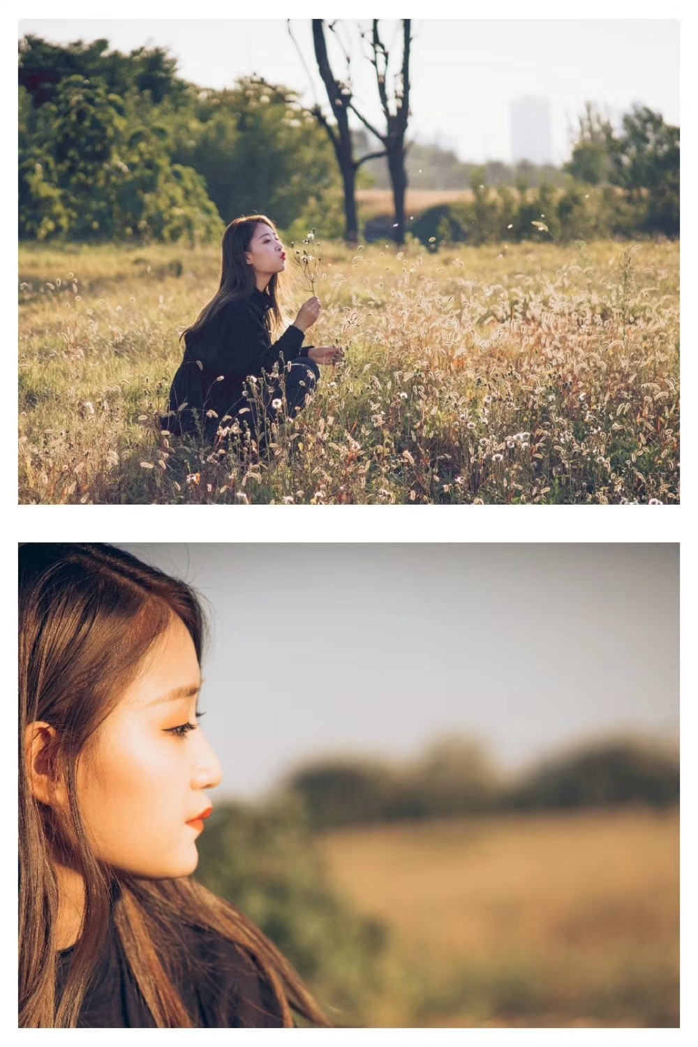 A72+蔡司Carl Zeiss Planar 1:1.4/50mm T* MMJ手动老镜头拍人像