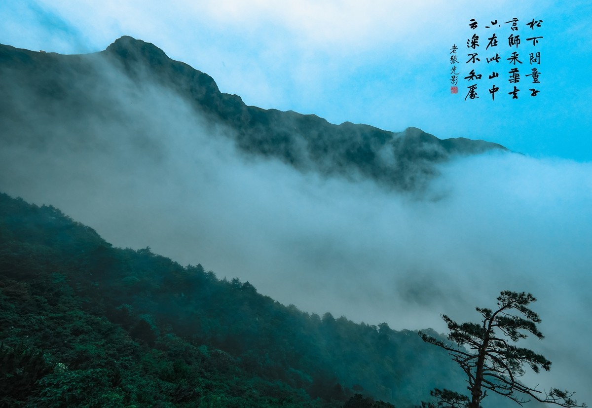 【老张光影】只在此山中 云深不知处