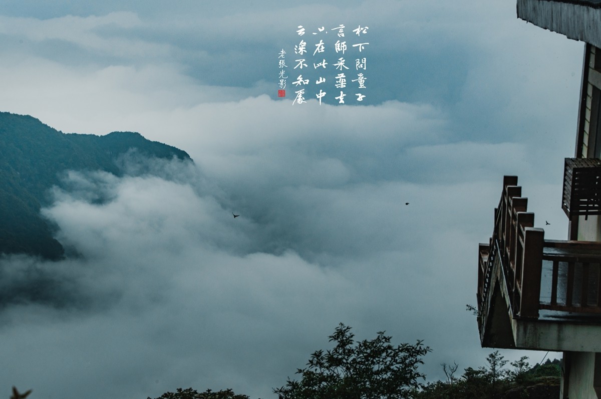 【老张光影】只在此山中 云深不知处