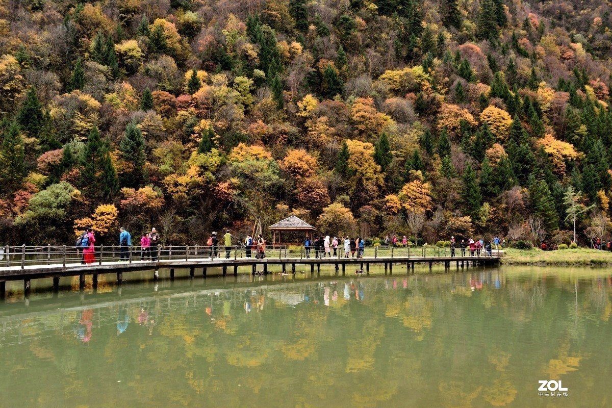 #版主坐堂#小五星空(中国)2020年一月精品荟萃