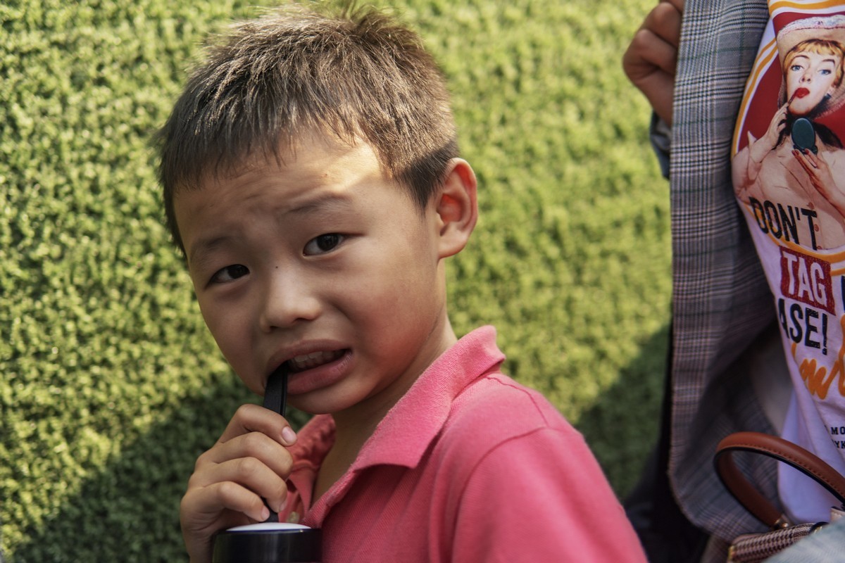 熟悉的城  陌生的人（十三）