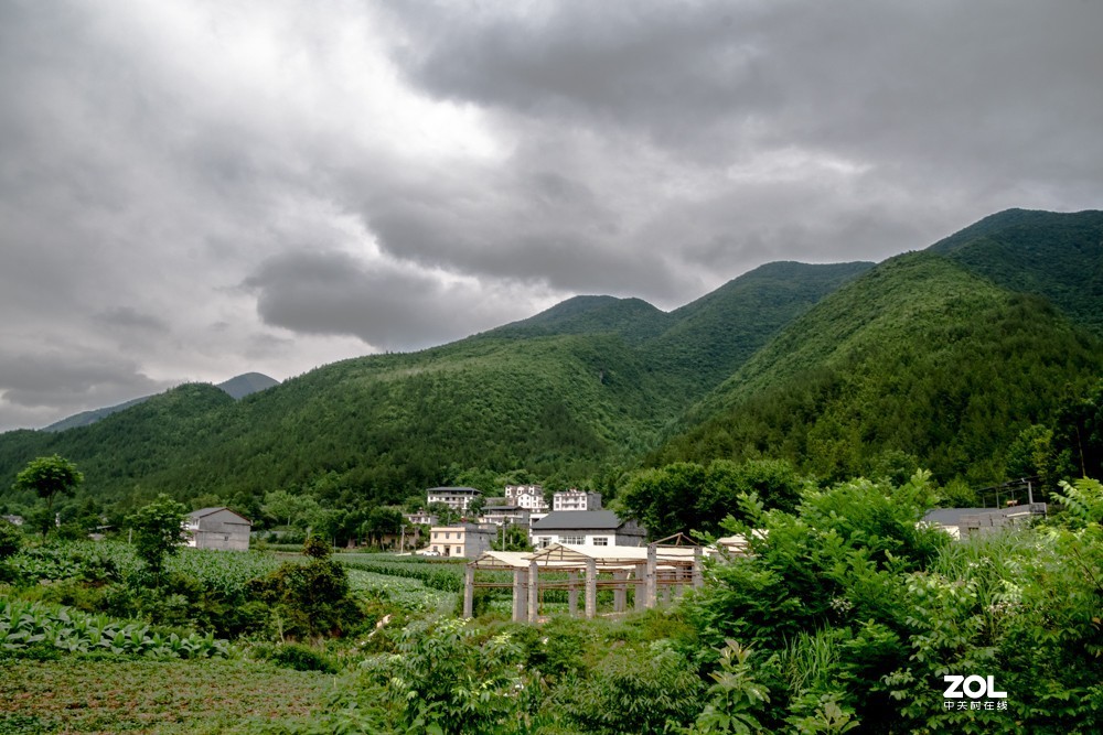 奉节三角坝3