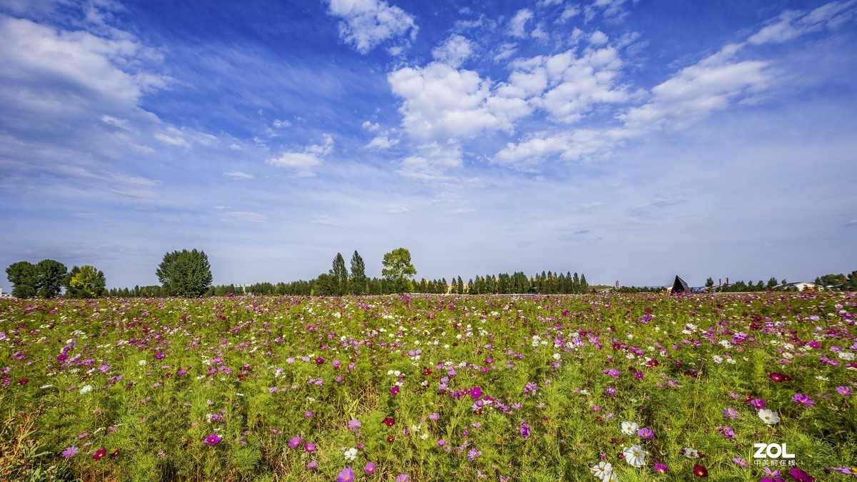 佳能摄影团“大摄影佳，一路向北”之：小滦河国家湿地公园